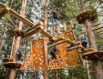 Lost Forest Aspen Obstacle