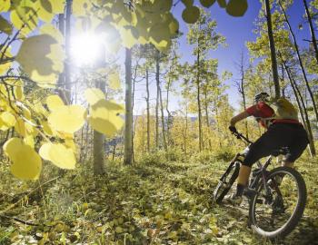 Person mountain biking in Colorado amidst yellow-leafed aspen trees