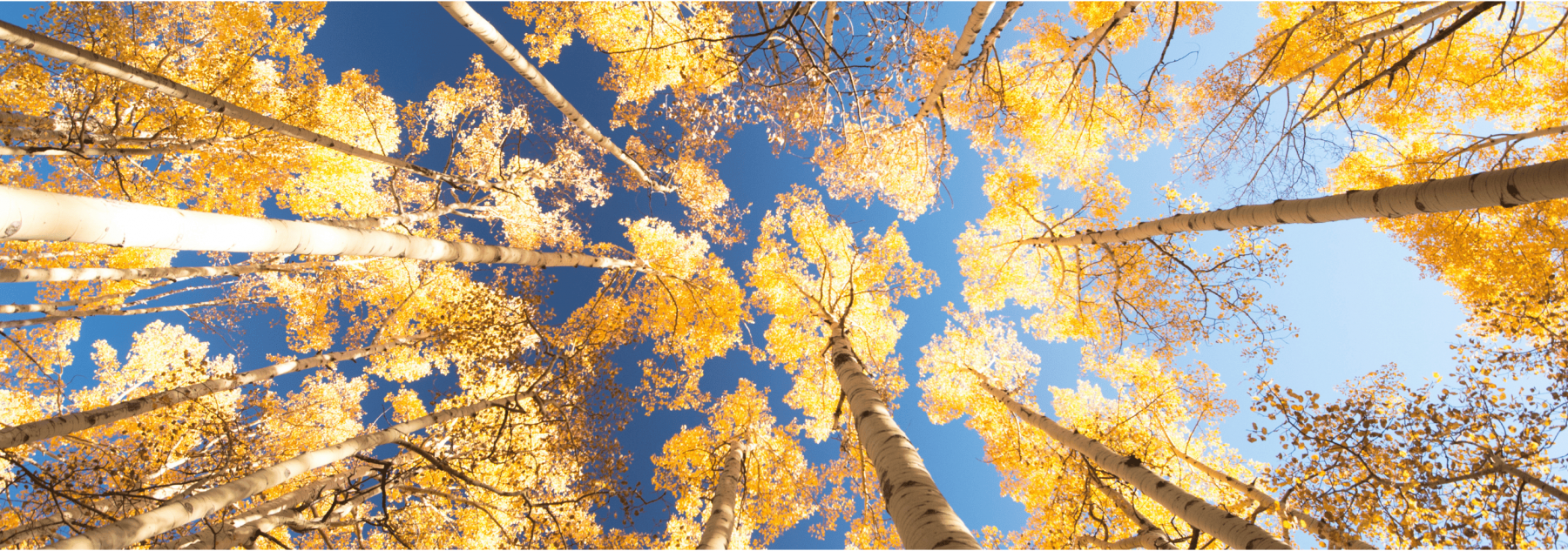 Professional Property Mgmt in the heart of Aspen 
