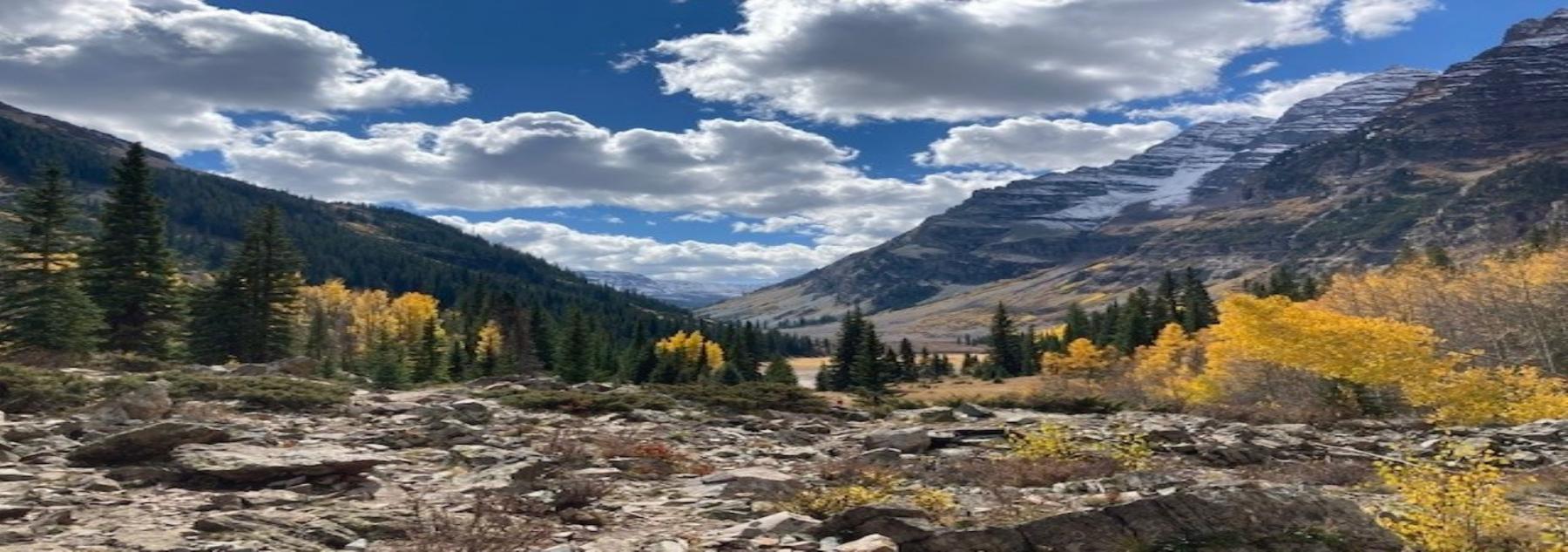 McCartney Properties Aspen, Colorado Vacation Rentals