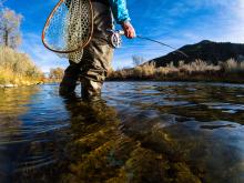 fly fishing, fisherman outdoors