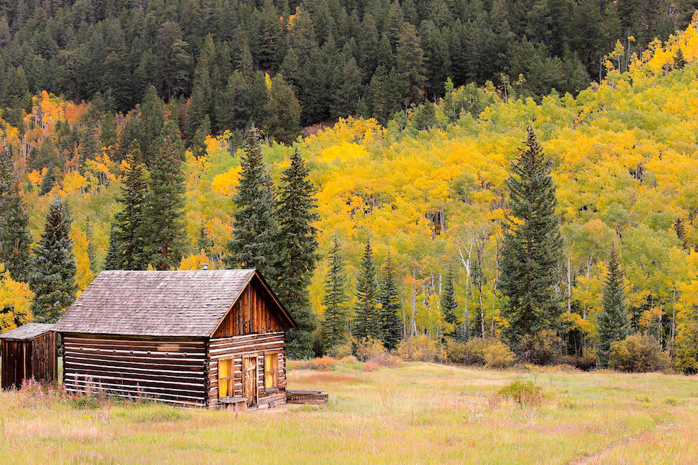Ashcroft ghost town cabin set against bright yellow fall colors in Aspen