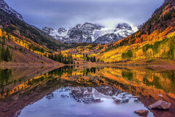 Marron Bells | Aspen Trees | McCartney Properties 